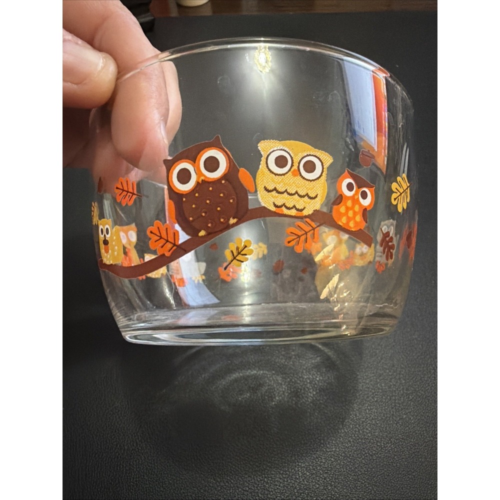 Vintage Libbey Crisa Hoot! Owl Fox Racoon Squirrel Fall Harvest 4.25" Bowl MCM!